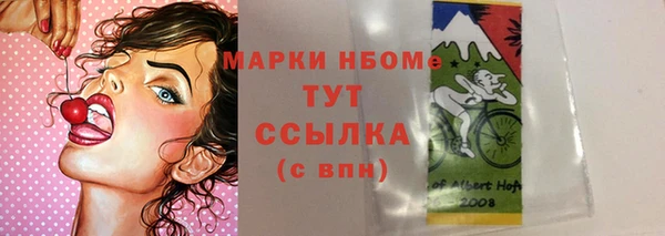 гашик Аркадак