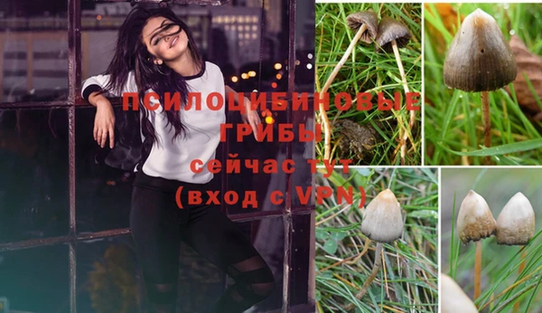 МДМА Лиски
